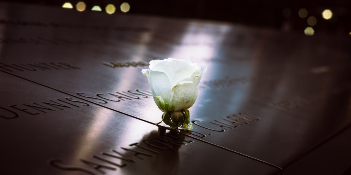 A rose at the 9/11 Memorial