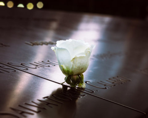 A rose at the 9/11 Memorial